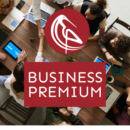 Business Premium