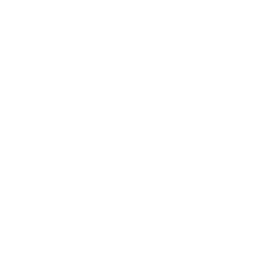 Synsaxa-Frame Frame